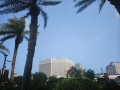 -澳门威尼斯人综合度假区