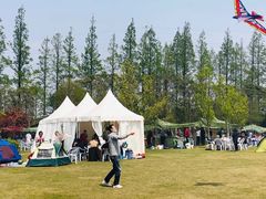 -上海长兴岛郊野公园