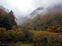 -叠溪松坪沟景区