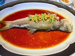 咸柠豆酱蒸马友鱼-粤界(望京金辉店)