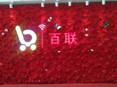 -沈阳百联购物中心(青年大街店)