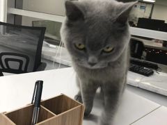 -绿地科创大厦
