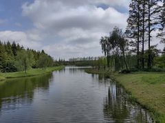 -黄海国家森林公园