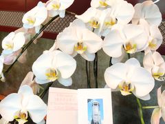 -上海新锦江大酒店