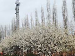 -哈尔滨师范大学(松北校区)