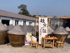 -苏州市吴中区光福窑上花果蜜饯厂