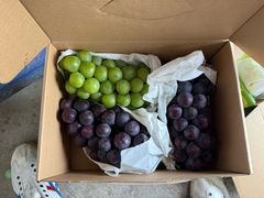 -马陆小张葡萄园农家乐