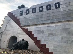 -侵华日军南京大屠杀遇难同胞纪念馆