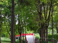 -美兰湖景区