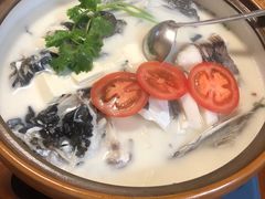 -全乐鱼馆·淳牌有机鱼直营店
