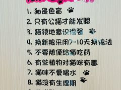 -唐小姐の私宠·宠物洗护美容·撸猫馆·购宠(周浦万达旗舰店)