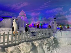 -世界之窗阿尔卑斯冰雪世界
