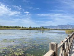 -野鸭湖国家湿地公园