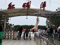 -红碱淖景区
