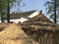 -同里国家湿地公园