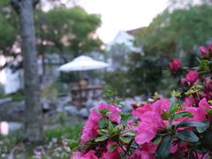 -金牛山大酒店(南北湖风景区店)