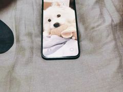 -Apple零售店(中街大悦城店)