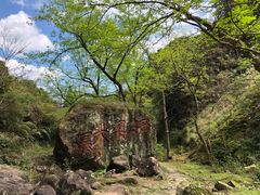 -雁荡山雁湖景区