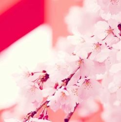 -梵梦影像馆(绿博园店)