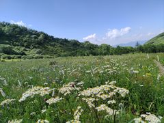 -白草畔自然风景区