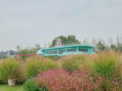 -北龙湖湿地公园