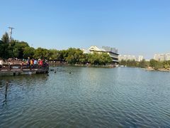 -五缘湾湿地公园