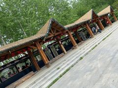 -合肥滨湖国家森林公园