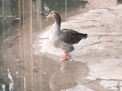 -回龙观体育文化公园