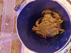 -澜悦港海鲜体验主题餐厅