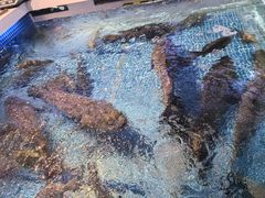 -驻海渔市(置信店)