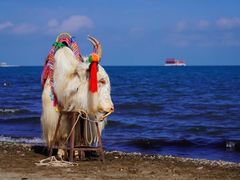 -青海湖国家重点风景名胜区