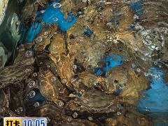 -中国舟山国际水产城