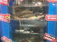 -鱼酷活鱼烤鱼(梅江印象城店)