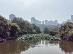 -龙头寺公园
