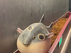 -肆月河豚·新淮扬菜·烤鸭(中关村店)