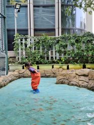 -可可天空农场(中大店)