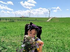 -塞罕坝国家级自然保护区