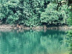 -鼎湖山风景区