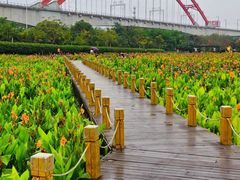 -那考河湿地公园