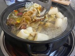 -蘑统田下·野生菌火锅