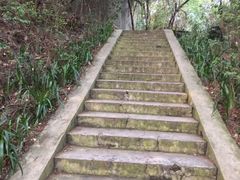 景点-白云山风景名胜区