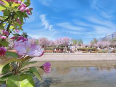 -元大都城垣遗址公园