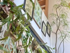 -自由生长植物工作室(深港花卉中心店)