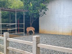 -长沙小顽国景区