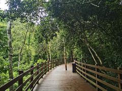 -野象谷景区