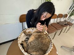 -共舞时光猫咖·狗咖(新街口店)