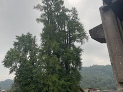 -崇州市街子古镇