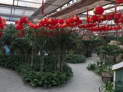 -南宫五洲植物乐园