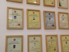 -美联众合动物医院·24h转诊中心