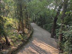 -张公山寨景区